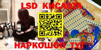 ешки Новодвинск