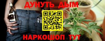 прущие крисы Новокубанск