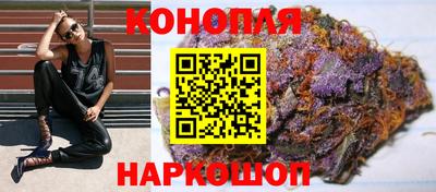 ешки Новодвинск