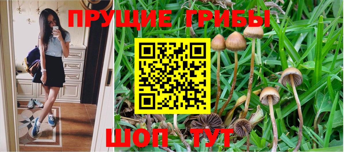 Тимашёвск  Псилоцибиновые грибы мухоморы  Вход с VPN 