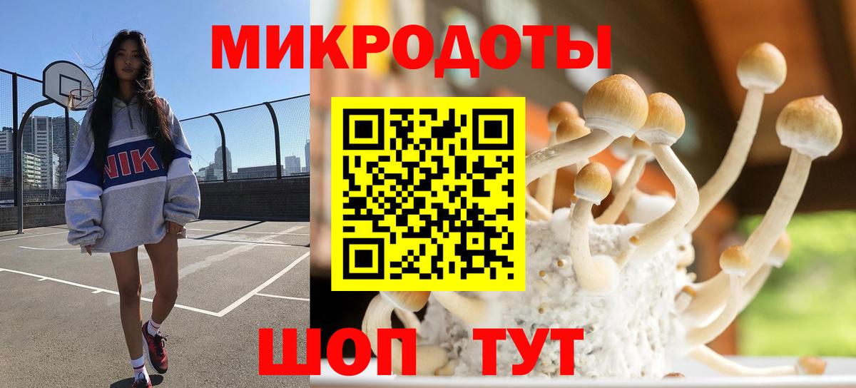 Псилоцибиновые грибы GOLDEN TEACHER Тимашёвск